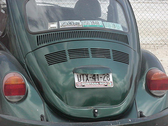 Mexican License Plate.JPG 63.1 KB